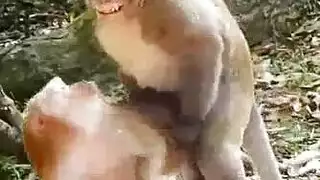 حيوان لطيف فيمدوم يظهر مع وجهها القبيح.
