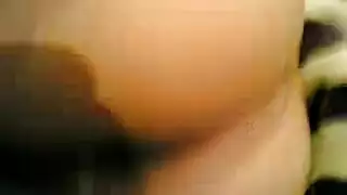 الحمار العربي