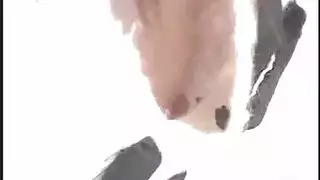البطلينوس بلال أسفل حبيبها متواضع.