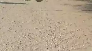 نحيل أحمر الشعر أزرق العينين حمر الشعر الروسي ضخ بقوة