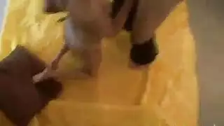 هواة رائعين يعرضون في مخزن مطبوع للحيوانات