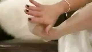 سكس دكور في دكور
