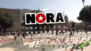 افلام هولنديه بنات في السجون