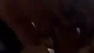فاتنة على الأريكة الصفع دسار