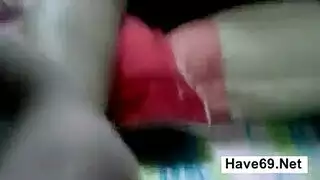 هل الحصان ينيك الحماره
