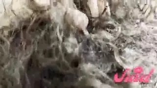 كس كسر لهذا الفرنسية في الحرارة الهواة العربية الحلوة