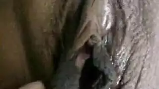 نيك حيوان