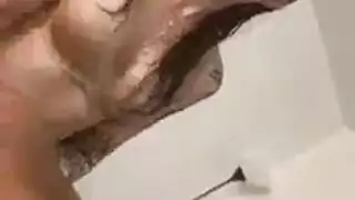 أن الحمار الطفل يشعر بحيث الديك الأسود الكبير