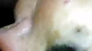 ناضجة فرخ الجدة.