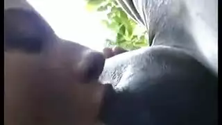 فرخ شقراء شعر ركوب الصعب الديك