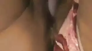 مع الكلاب والحصين