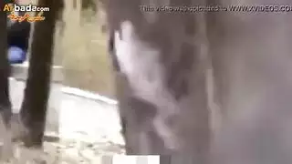حب فى الجنينة يوم العيد