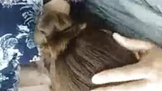 سائق شاحنة مفلس مص.
