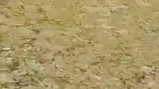 المدينة الحسية خنثى عن الشبقية زوجين مع المتأنق نحيل.