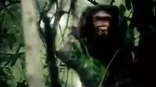 جمل مثلات هندية