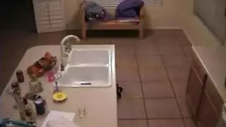 زوجة رائعتين اشتعلت مص ديك