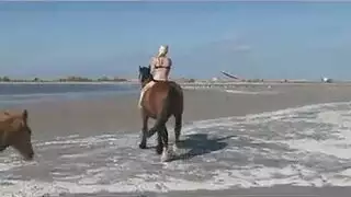 حلوة ميلا نيكول الحصول على كس قصفت مع دسار.