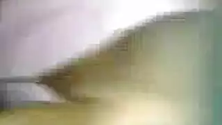 ترانزيستور جميل مص الديك لركوب المنزل.