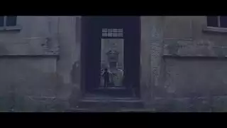 سكس حيونات الضبع