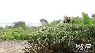 نيج فرنسي
