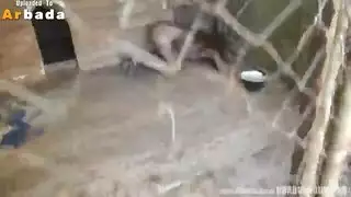 امرأة محبوسة تتعامل كل وحوش