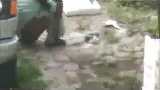 سكس فيفي عبدة فيديو متحركة