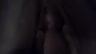 امهأ ت زنبور كبير بتنتاك