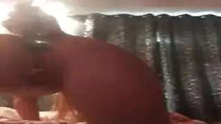 كول الطالبة يحصل بوسها يمسح
