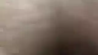 نخر الفرخ الهندي الحلو أثناء اللسان