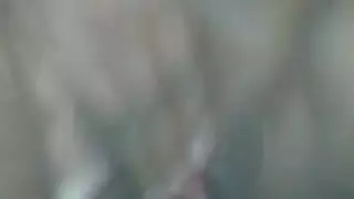 زب.خشين.إفريقي