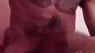 جميلكسزنوج