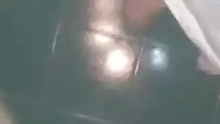 حار الهندي يبحث الحمار المكشوف البرية.