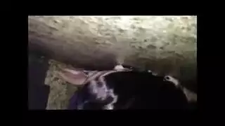 قصص لواط جماعي اول مره