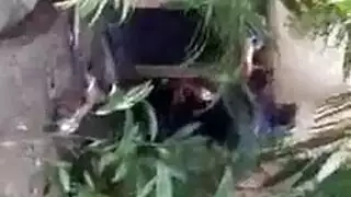 مقطع بنت مع حمار
