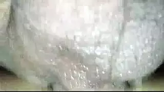 مشروب مثليه قرنية في حوض الاستحمام الساخن.