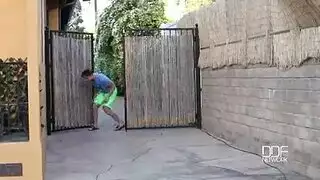 كلاب شرموط