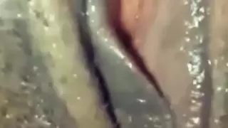 مغربي يستعرض بكس ام عياله للفحول