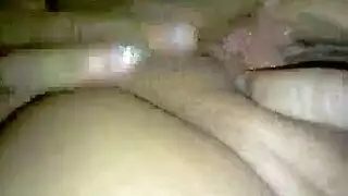 فيدبوجنس طويل
