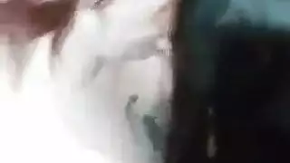 يضع قطة بلدي العبيد العرب الفم للعمل