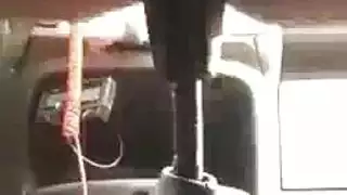 الهرة الشباب الملذات جمال نردي