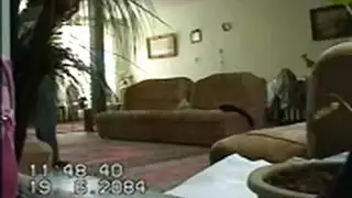 نيك مصري تراث شرموطة مصرية تذهب للمدير ينيكها كما يريد!