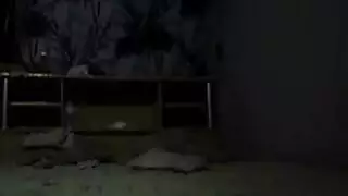 سکس گلب مع امراة