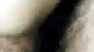 نيك في سوسرا