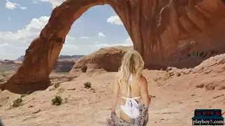تجريد الأوروبي حالمة على قارب صيد