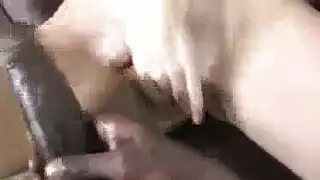 زب اسود طويل جدا امام كس الفتاة الجميل و ينيكها بقوة