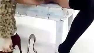 عربي