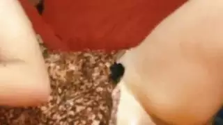 الزوجان الهواة أندرسون وميلينا يحصلان على البخار