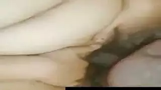 أثارت جبهة مورو مصممة في الحمار