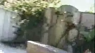 اغتصاب XNXX في المصارعة