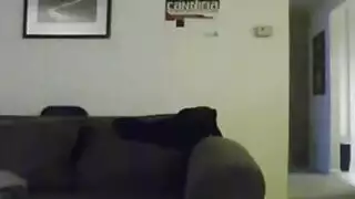 سكس نبيله عبيدتحميل موبايل